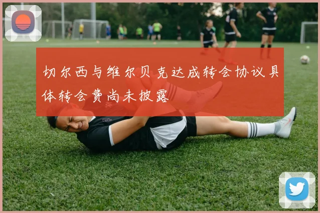 切尔西与维尔贝克达成转会协议具体转会费尚未披露