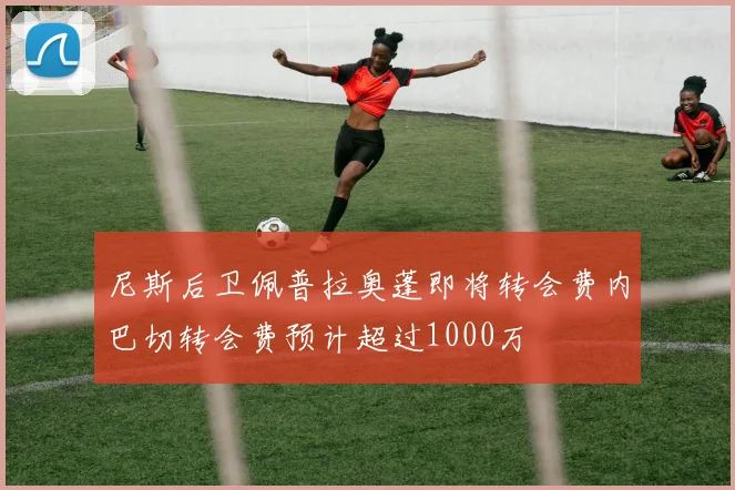 尼斯后卫佩普拉奥蓬即将转会费内巴切转会费预计超过1000万
