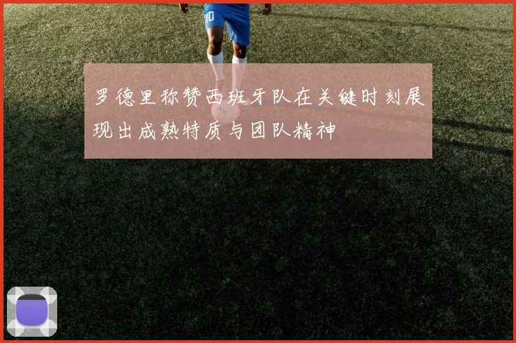 罗德里称赞西班牙队在关键时刻展现出成熟特质与团队精神